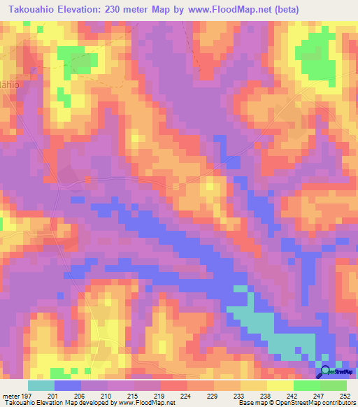 Takouahio,Ivory Coast Elevation Map