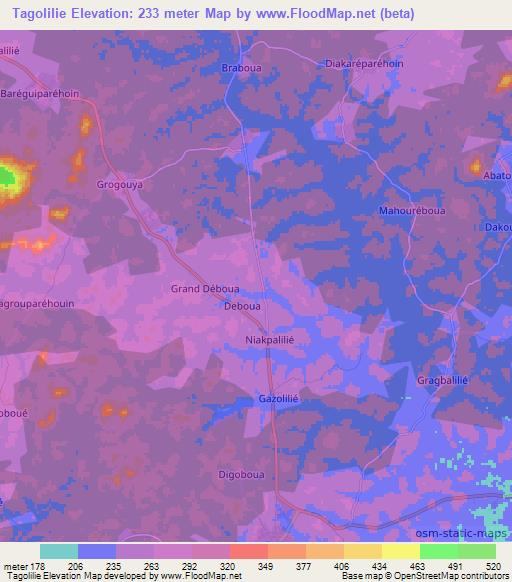 Tagolilie,Ivory Coast Elevation Map