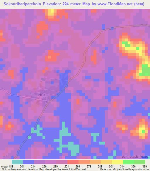 Sokouriberiparehoin,Ivory Coast Elevation Map
