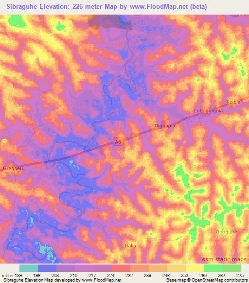 Sibraguhe,Ivory Coast Elevation Map