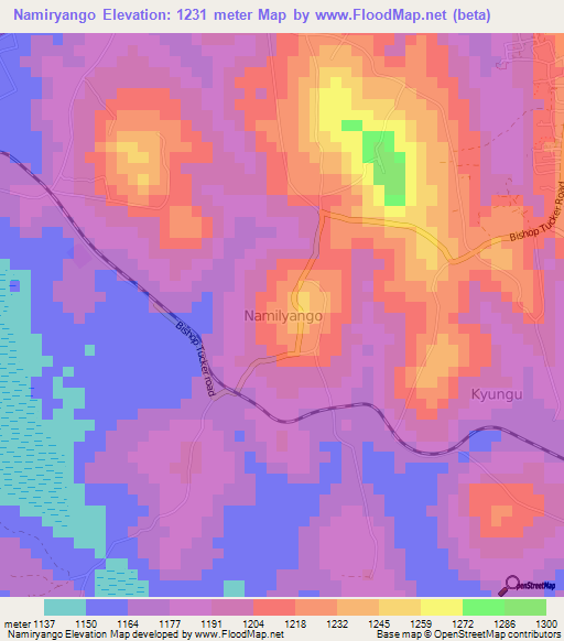 Namiryango,Uganda Elevation Map