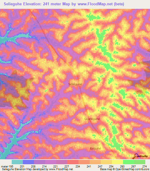 Selieguhe,Ivory Coast Elevation Map