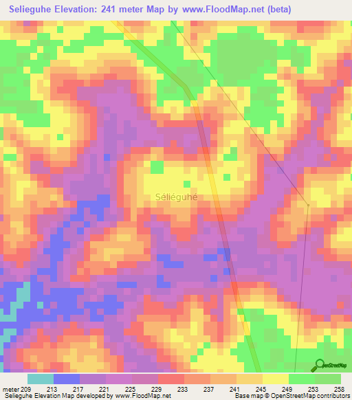 Selieguhe,Ivory Coast Elevation Map