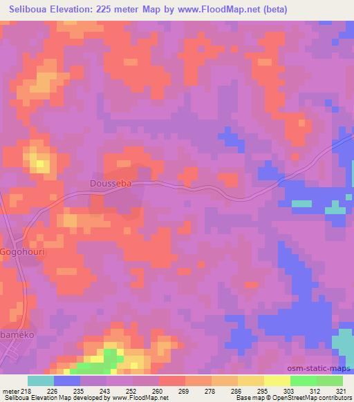 Seliboua,Ivory Coast Elevation Map