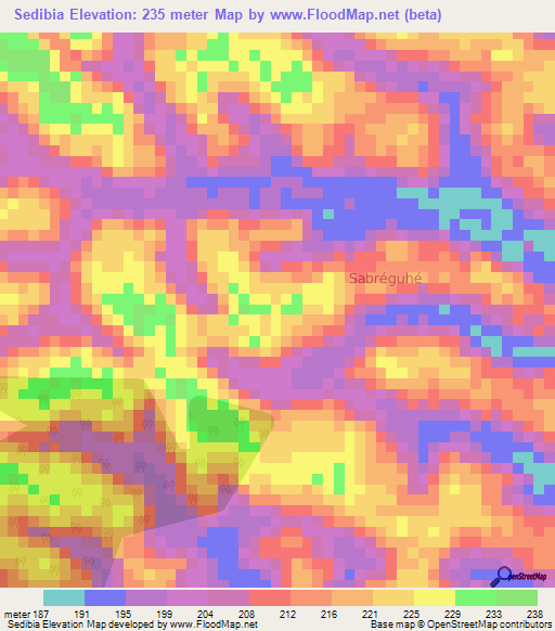 Sedibia,Ivory Coast Elevation Map