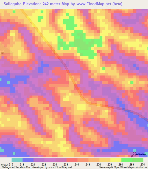Salieguhe,Ivory Coast Elevation Map