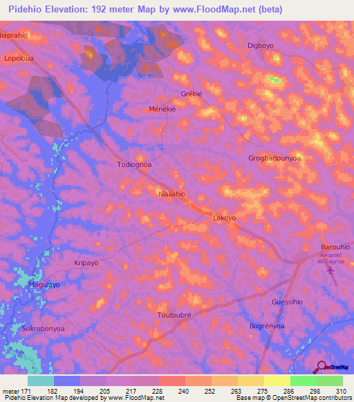 Pidehio,Ivory Coast Elevation Map
