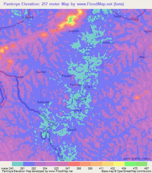 Pantroya,Ivory Coast Elevation Map