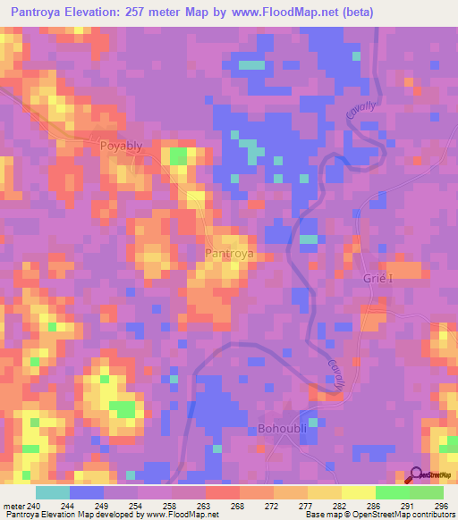 Pantroya,Ivory Coast Elevation Map
