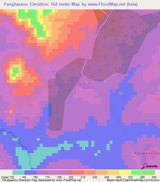 Pangbassou,Ivory Coast Elevation Map