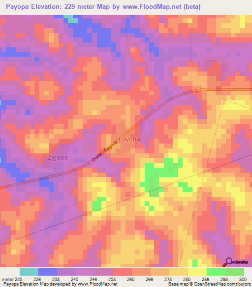 Payopa,Ivory Coast Elevation Map