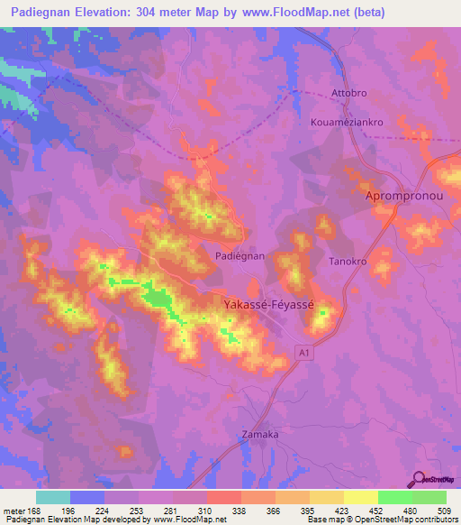 Padiegnan,Ivory Coast Elevation Map