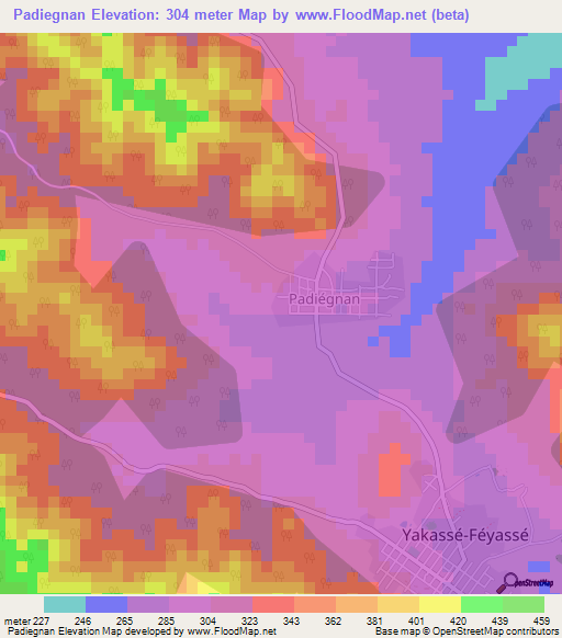 Padiegnan,Ivory Coast Elevation Map