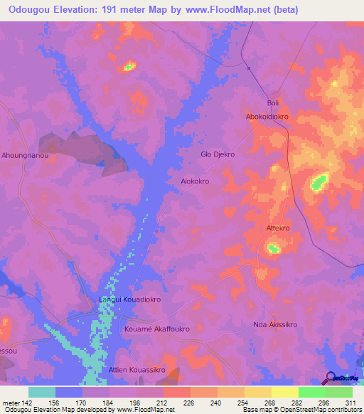 Odougou,Ivory Coast Elevation Map