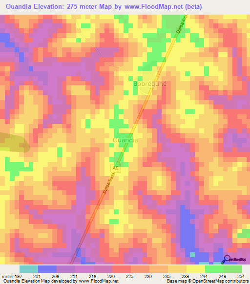 Ouandia,Ivory Coast Elevation Map