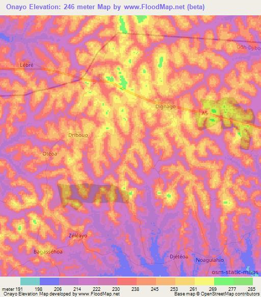 Onayo,Ivory Coast Elevation Map