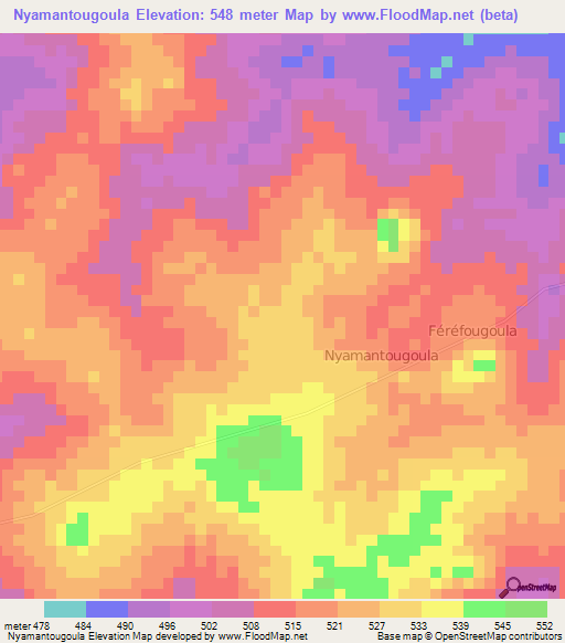 Nyamantougoula,Ivory Coast Elevation Map