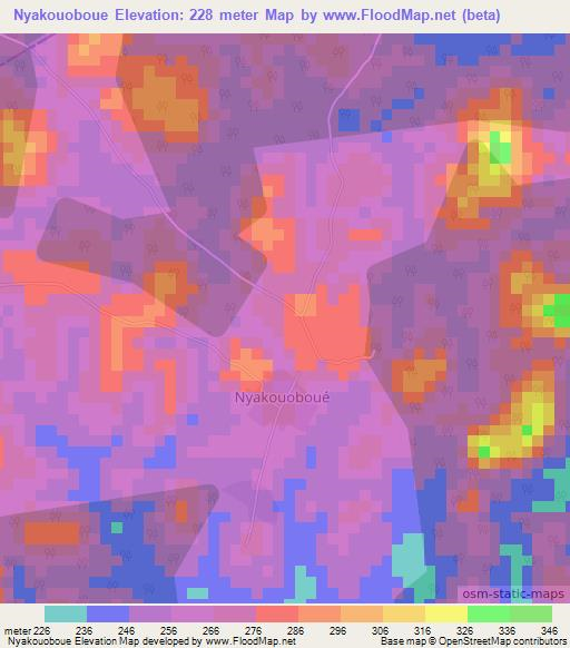 Nyakouoboue,Ivory Coast Elevation Map