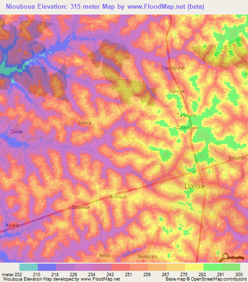 Niouboua,Ivory Coast Elevation Map