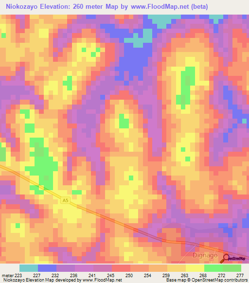 Niokozayo,Ivory Coast Elevation Map