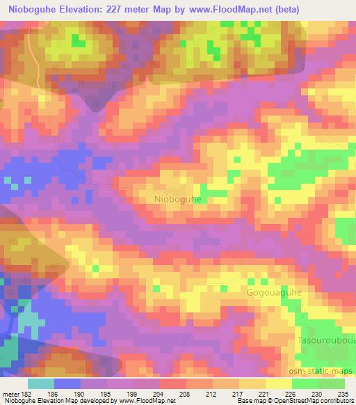Nioboguhe,Ivory Coast Elevation Map