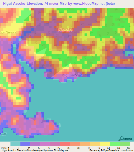 Nigui Assoko,Ivory Coast Elevation Map