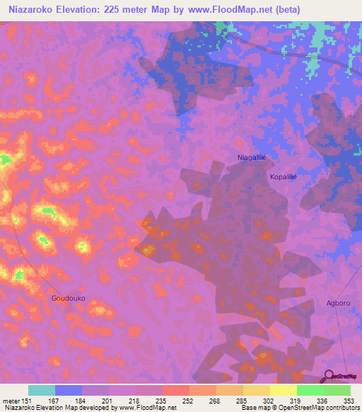 Niazaroko,Ivory Coast Elevation Map