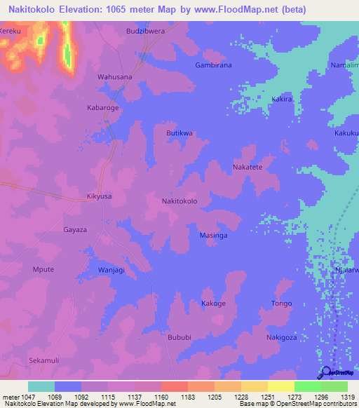 Nakitokolo,Uganda Elevation Map