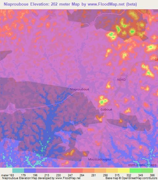 Niaprouboue,Ivory Coast Elevation Map