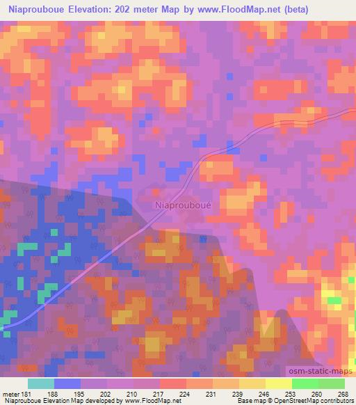 Niaprouboue,Ivory Coast Elevation Map