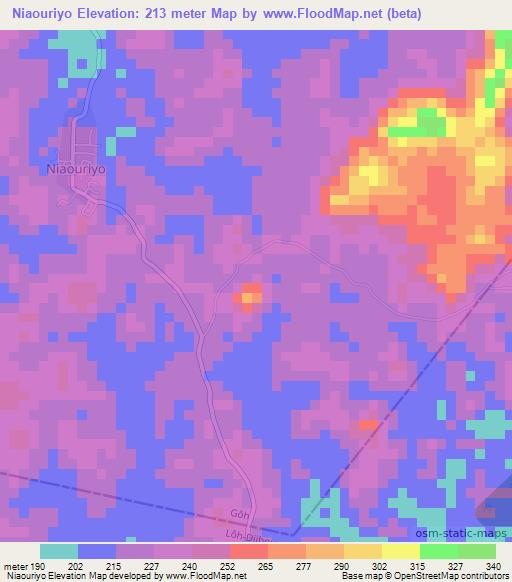 Niaouriyo,Ivory Coast Elevation Map