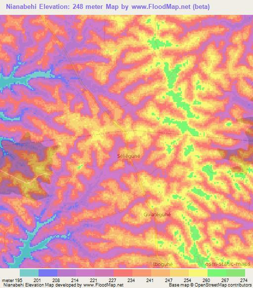 Nianabehi,Ivory Coast Elevation Map