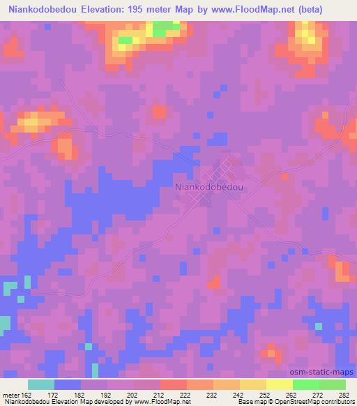 Niankodobedou,Ivory Coast Elevation Map