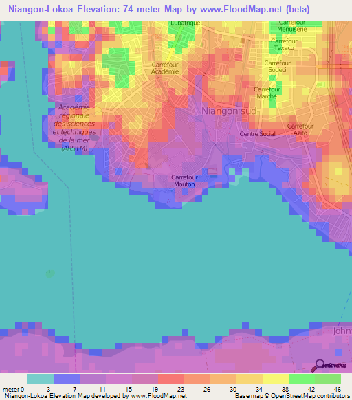 Niangon-Lokoa,Ivory Coast Elevation Map
