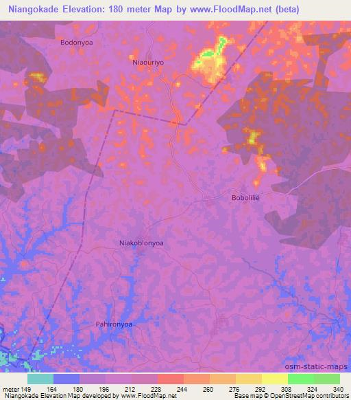Niangokade,Ivory Coast Elevation Map