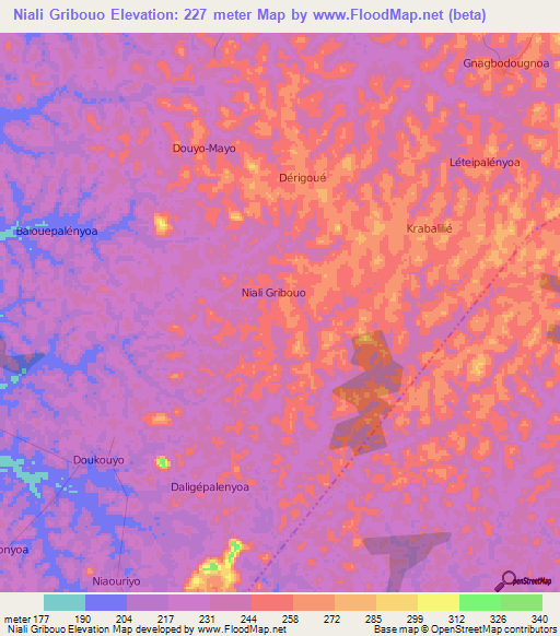Niali Gribouo,Ivory Coast Elevation Map