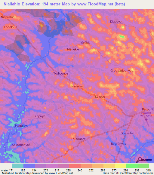 Nialiahio,Ivory Coast Elevation Map