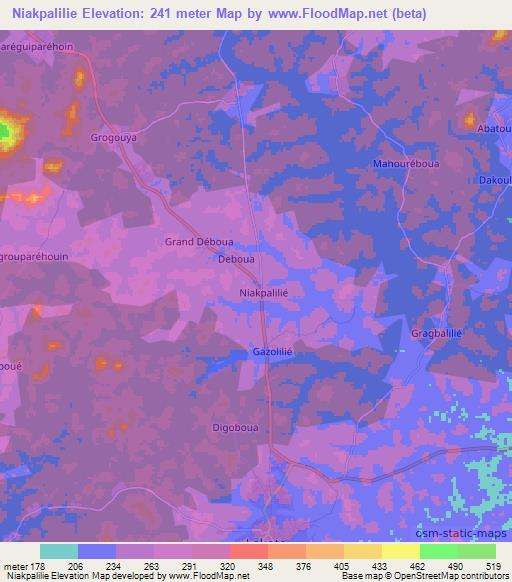 Niakpalilie,Ivory Coast Elevation Map
