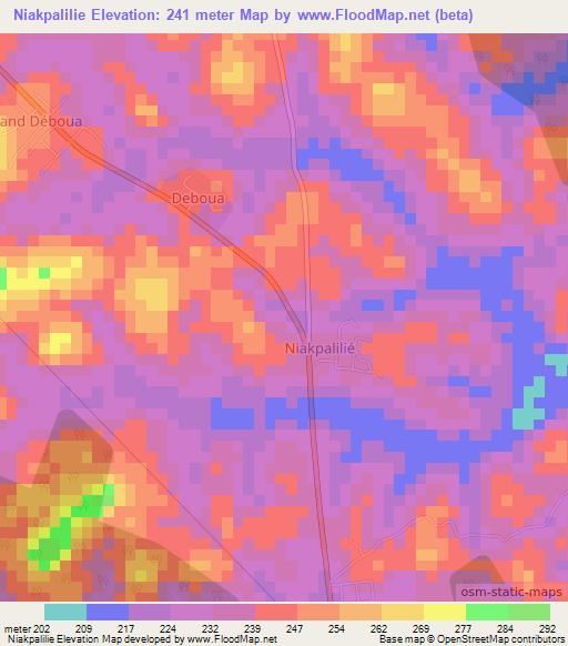 Niakpalilie,Ivory Coast Elevation Map