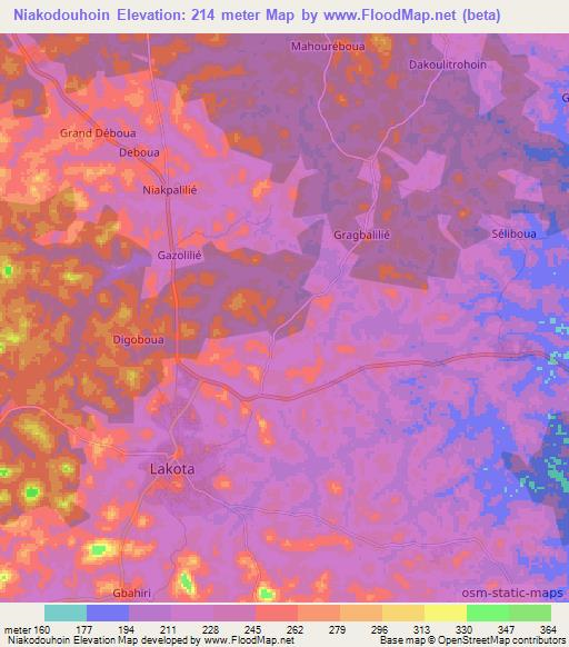 Niakodouhoin,Ivory Coast Elevation Map