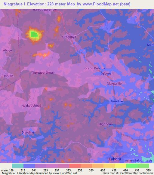 Niagrahue I,Ivory Coast Elevation Map