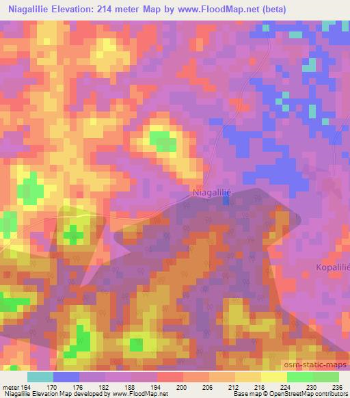 Niagalilie,Ivory Coast Elevation Map