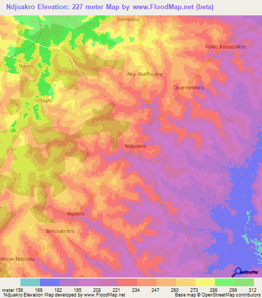 Ndjuakro,Ivory Coast Elevation Map