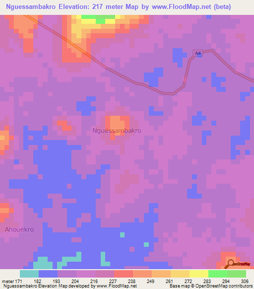 Nguessambakro,Ivory Coast Elevation Map