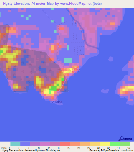 Ngaty,Ivory Coast Elevation Map