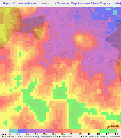 Ngata Nguessamblekro,Ivory Coast Elevation Map