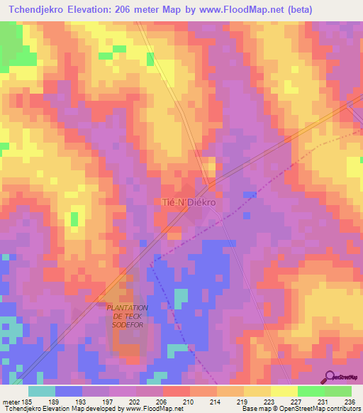 Tchendjekro,Ivory Coast Elevation Map