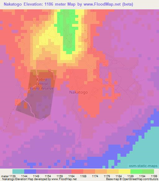 Nakatogo,Uganda Elevation Map