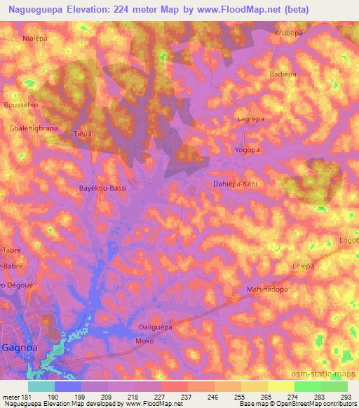Nagueguepa,Ivory Coast Elevation Map