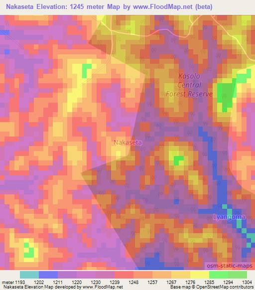 Nakaseta,Uganda Elevation Map